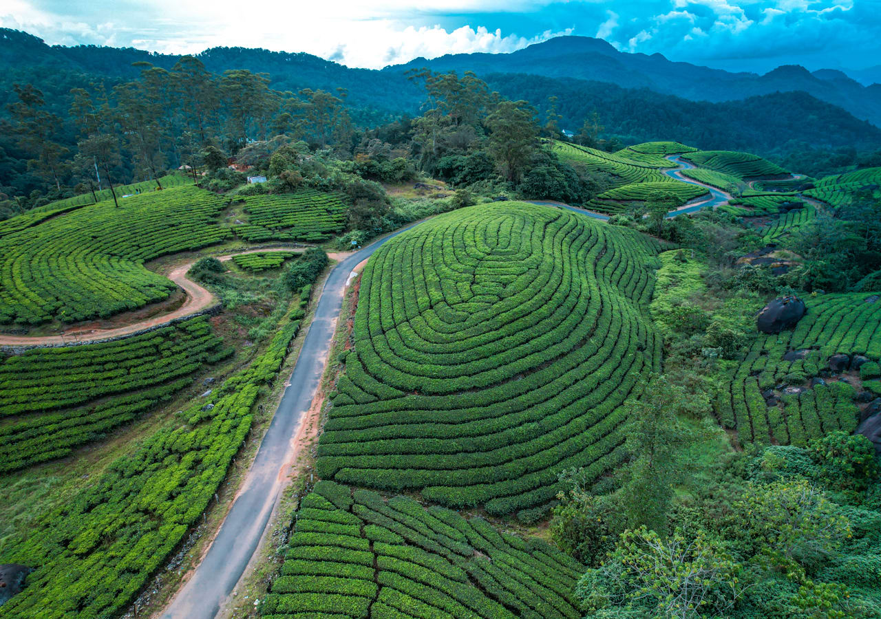 Kerala Tour - 4 Nights 5 Days